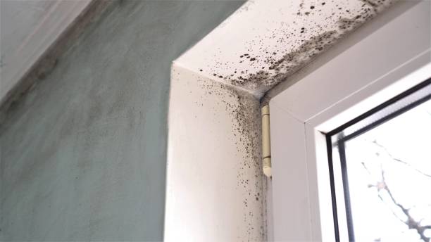 Water Damage Restoration in Ingalls, IN