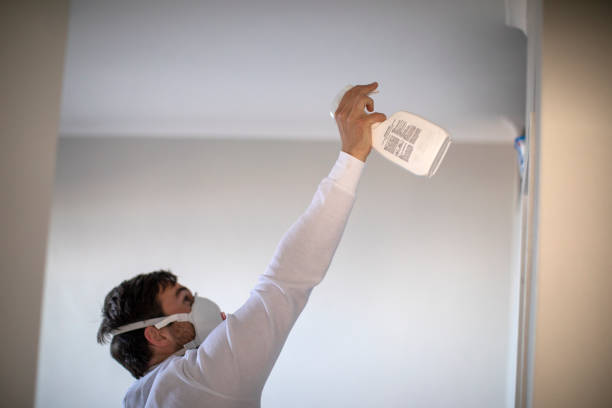 Best Attic Mold Removal  in Galls, IN